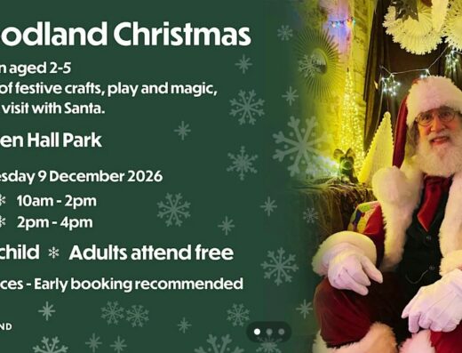 A Woodland Christmas